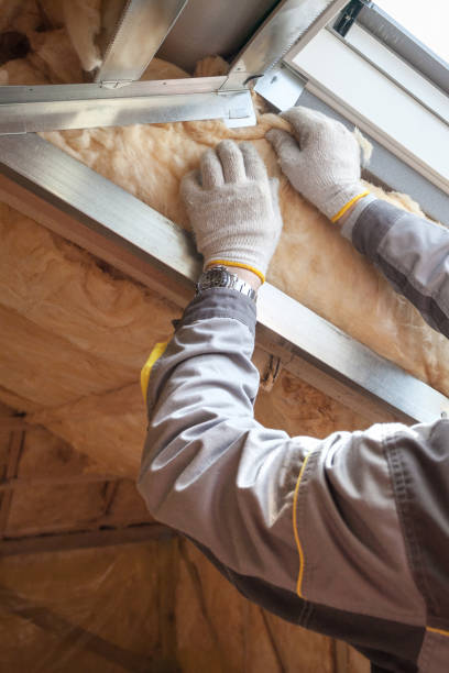 Best Crawl Space Insulation  in New Chicago, IN