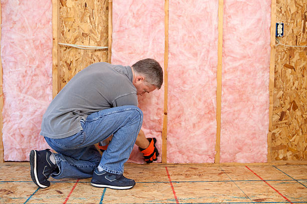 Best Attic Insulation Installation  in New Chicago, IN