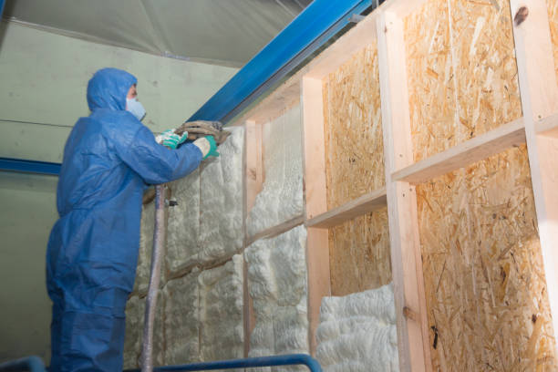 Best Insulation for New Construction  in New Chicago, IN